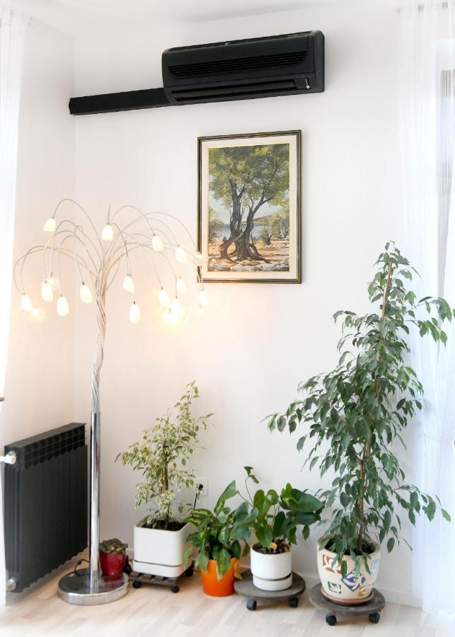 Divia Apartment Rijeka Extérieur photo